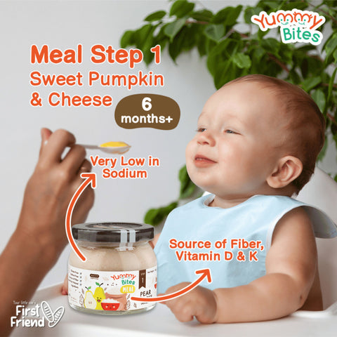 Yummy Bites Meal (Apple&Carrot/Pear&Rice/Potato&Cheese/RedBean&Chestnut/Swt Potato&Rice/Swt Pump&Rice/Swt Pump&Pear