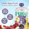Yummy Bites Puree (Blueberry, Banana & Apple / Strawberry Guava & Banana) 100G